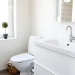 Vibaek