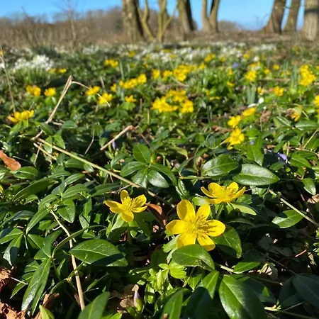 Dom wakacyjny Vibaek *