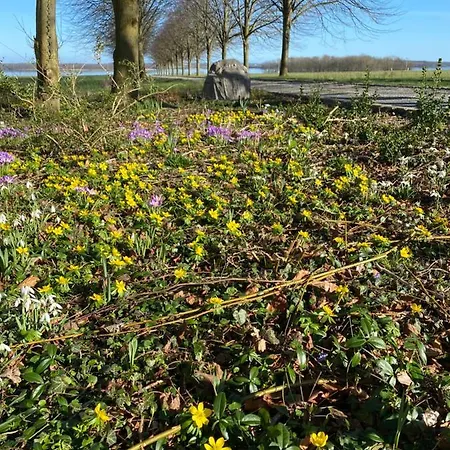 Vibaek Semesterbostad