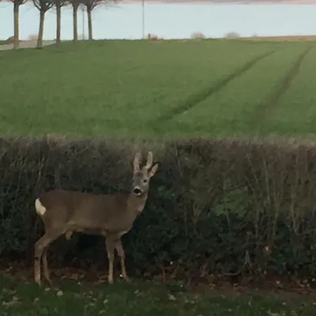 בית נופש Vibaek *