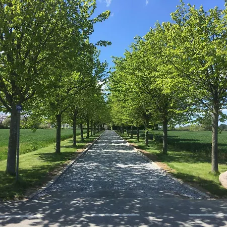 Dom wakacyjny Vibaek *