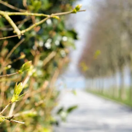 Vibaek Dom wakacyjny